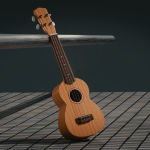 Online kurz pro začátečníky “Hrajeme na ukulele”