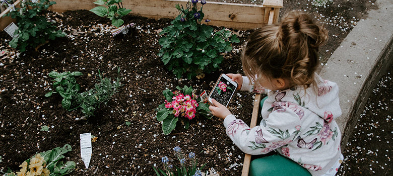 jak zařídit dětem zahradu