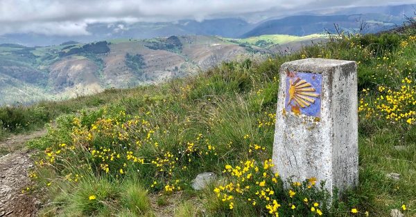Svatojakubská pouť do Santiago de Compostela od A do Z