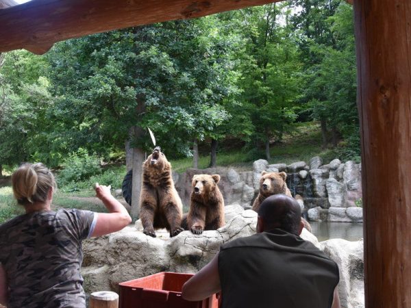 Ošetřovatelem v ZOO - Obrázek 8