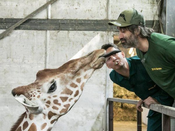 Ošetřovatelem v ZOO - Obrázek 9