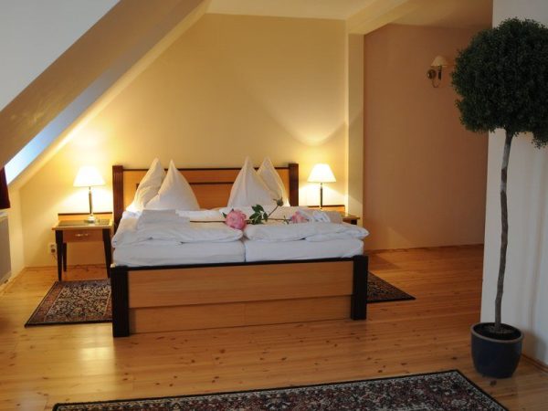 Wellness pobyt v Karlových Varech - Obrázek 8